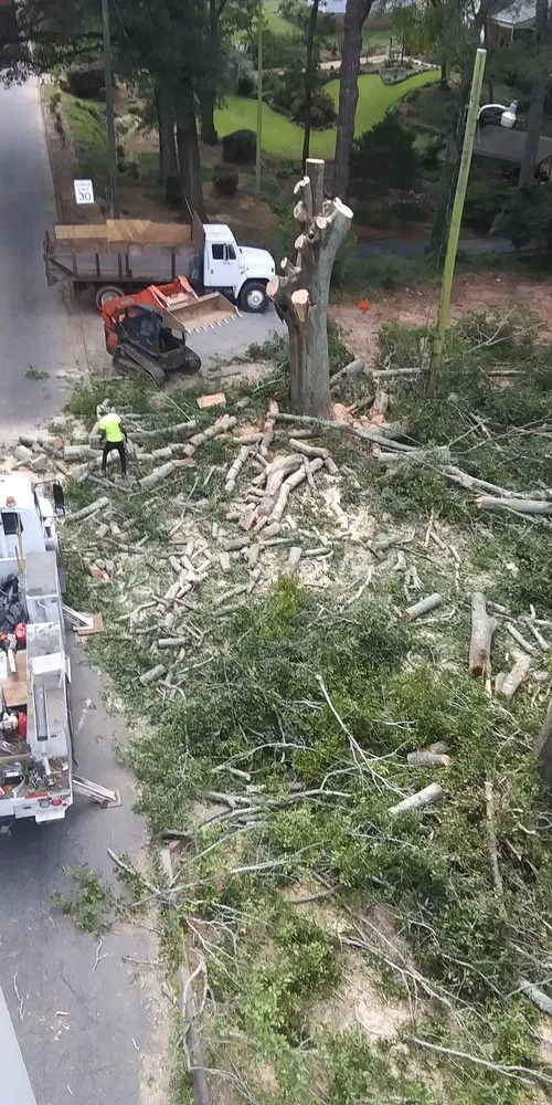 Trusted garden landscaping in Mcdonough, GA - Green Visual Tree Services