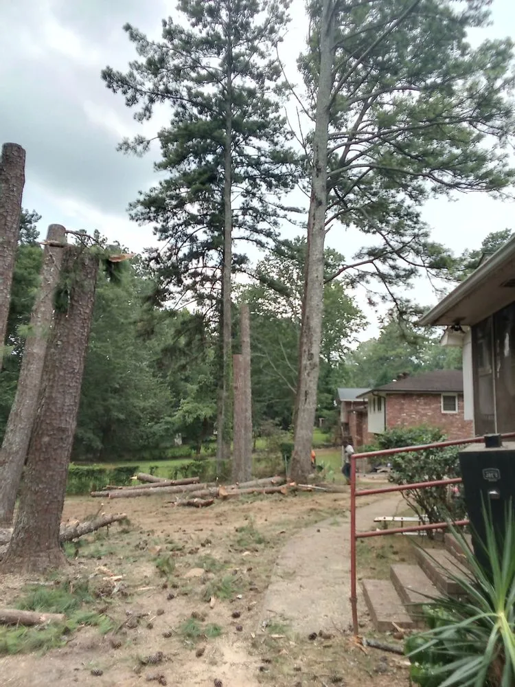 Reliable lawn care service with custom design across Mcdonough, GA - Green Visual Tree Services