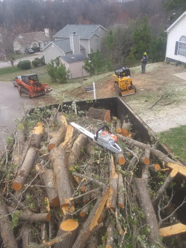 Trusted landscape design in Mcdonough, GA by Green Visual Tree Services