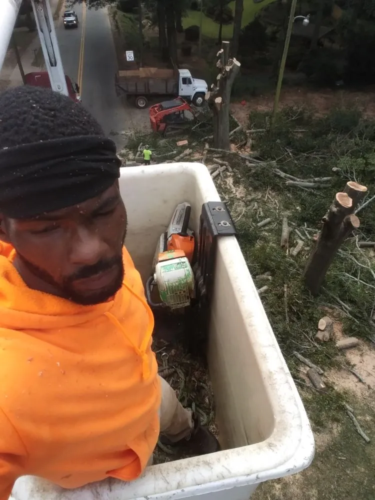 Affordable landscape design for residential properties in Mcdonough, GA by Green Visual Tree Services