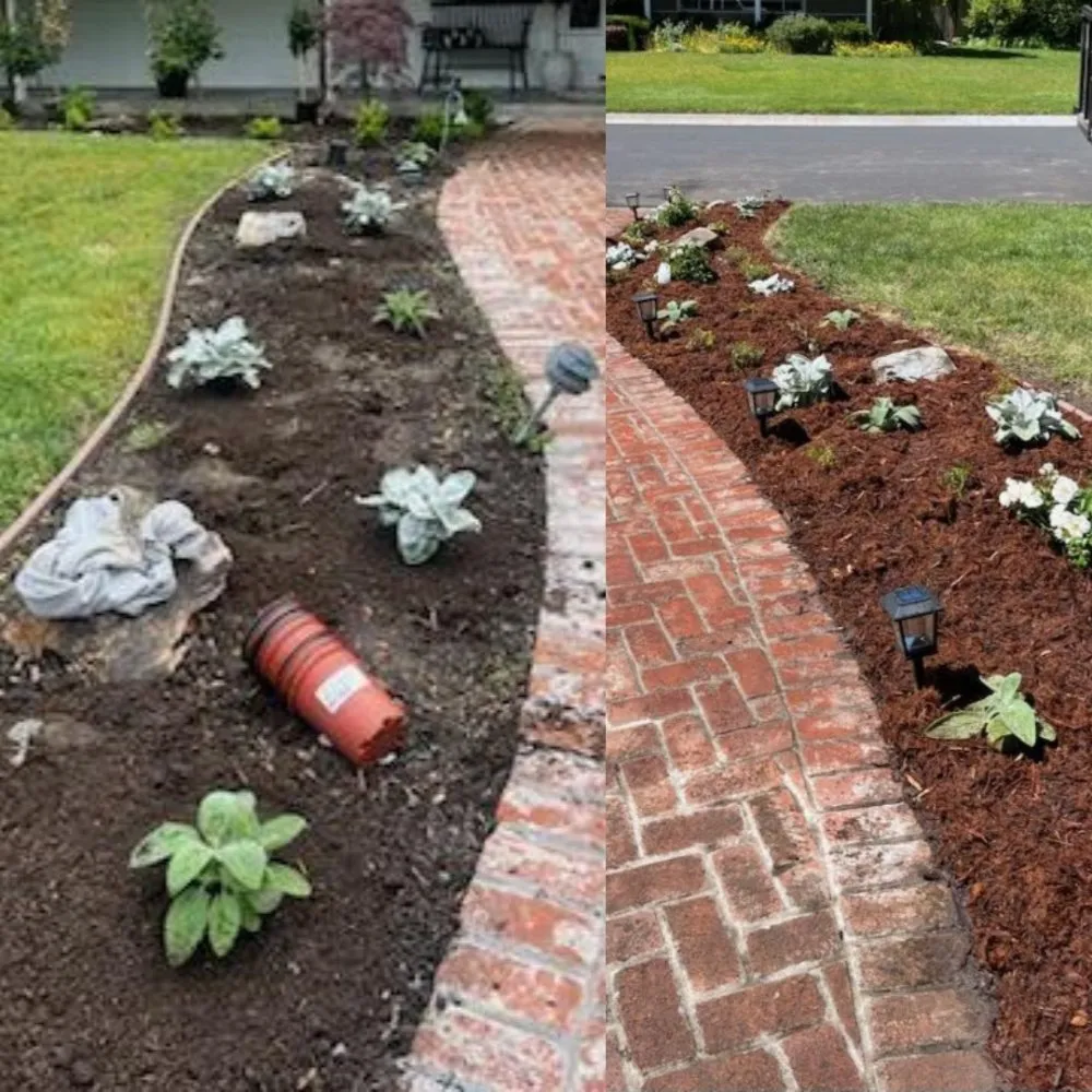 Local landscape design for outdoor upgrades across Walnut Creek, CA - Green Walnut Landscaping and Maintenance