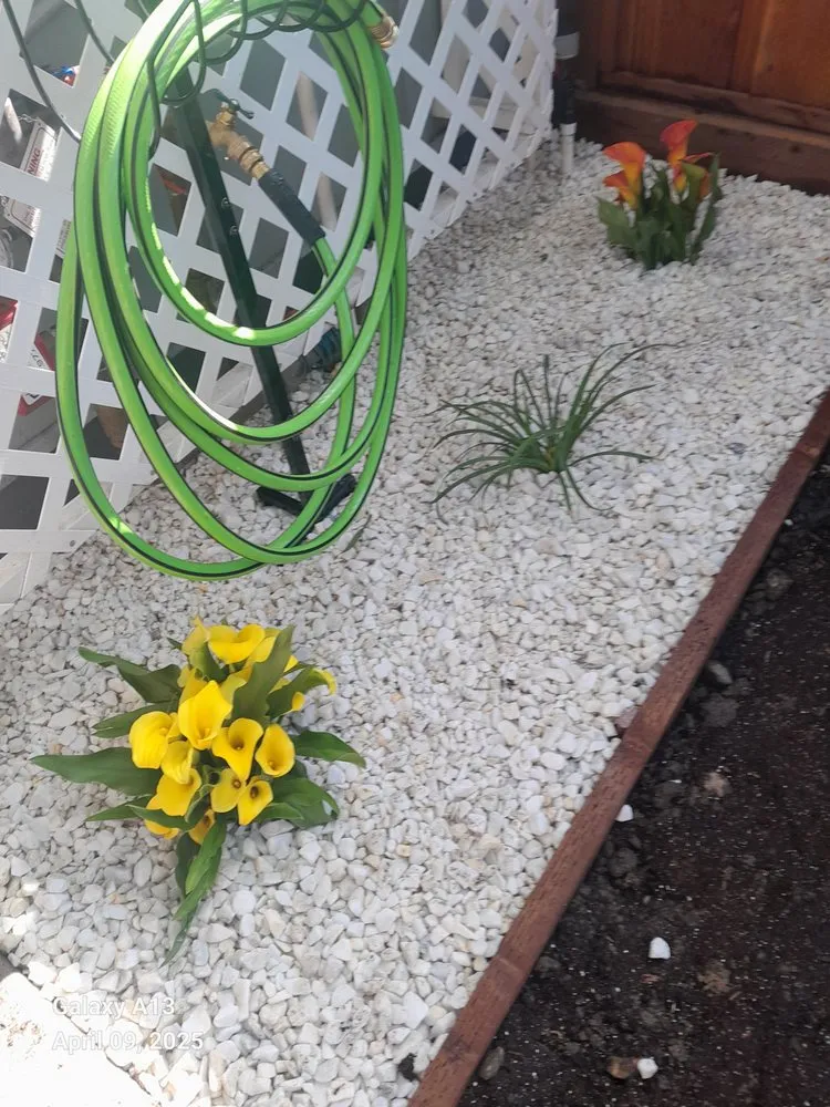 Top-rated yard maintenance with custom design across Walnut Creek, CA - Green Walnut Landscaping and Maintenance