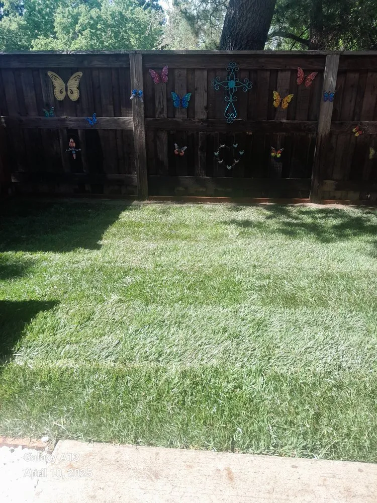 Local landscape installation in Walnut Creek, CA by Green Walnut Landscaping and Maintenance