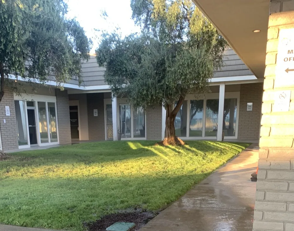 Professional landscape installation in Walnut Creek, CA by Green Walnut Landscaping and Maintenance