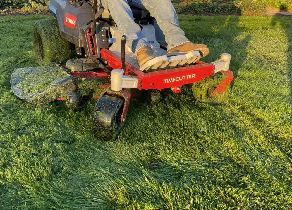 Local garden landscaping for year-round maintenance across Walnut Creek, CA - Green Walnut Landscaping and Maintenance