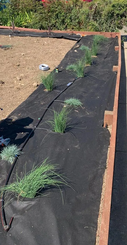 Local landscaping services in Walnut Creek, CA - Green Walnut Landscaping and Maintenance