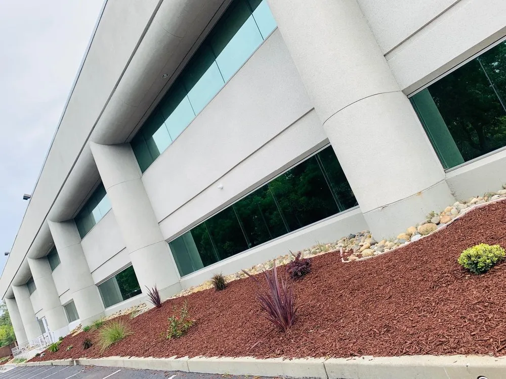 Custom lawn care service in Walnut Creek, CA by Green Walnut Landscaping and Maintenance