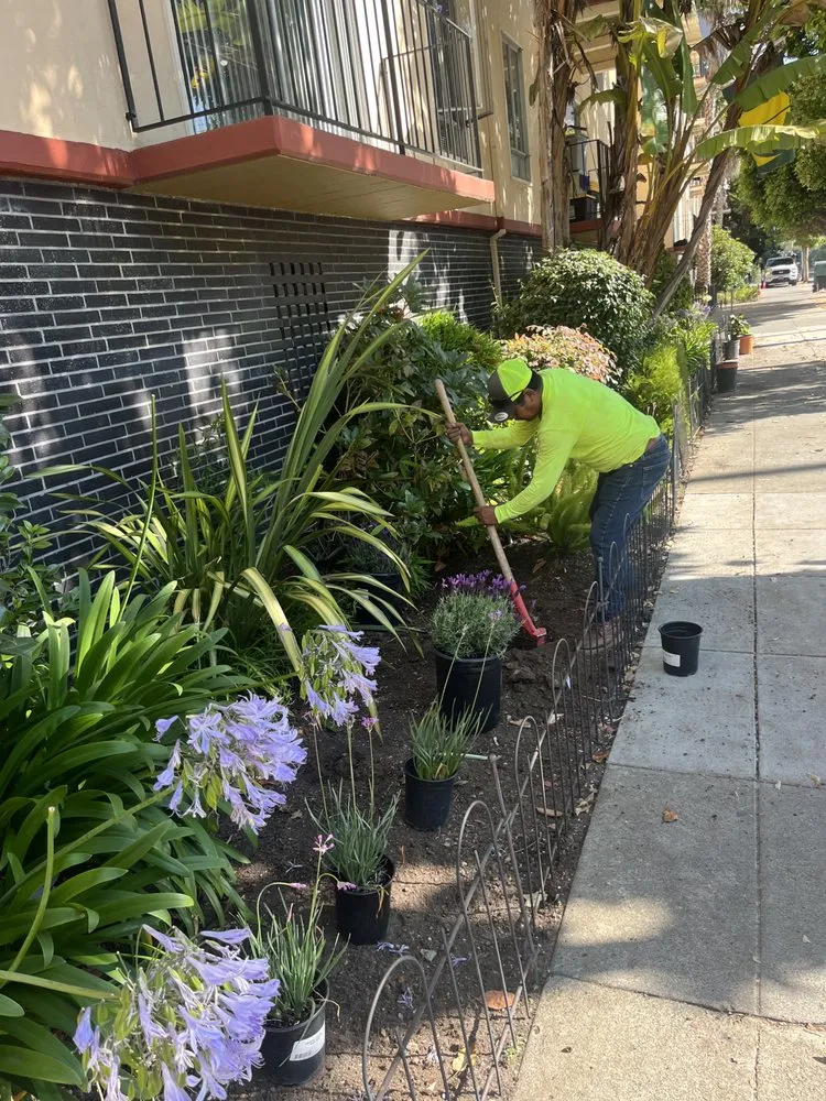 Affordable lawn care service experts serving Walnut Creek, CA - Green Walnut Landscaping and Maintenance