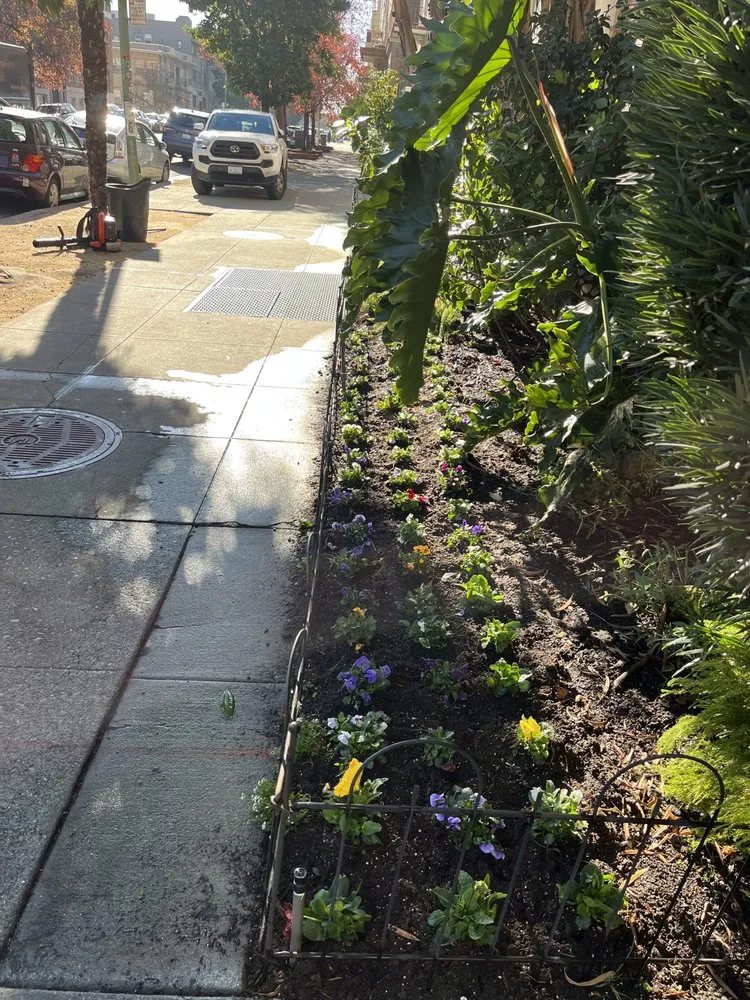 Top-rated landscape design for year-round maintenance across Walnut Creek, CA - Green Walnut Landscaping and Maintenance