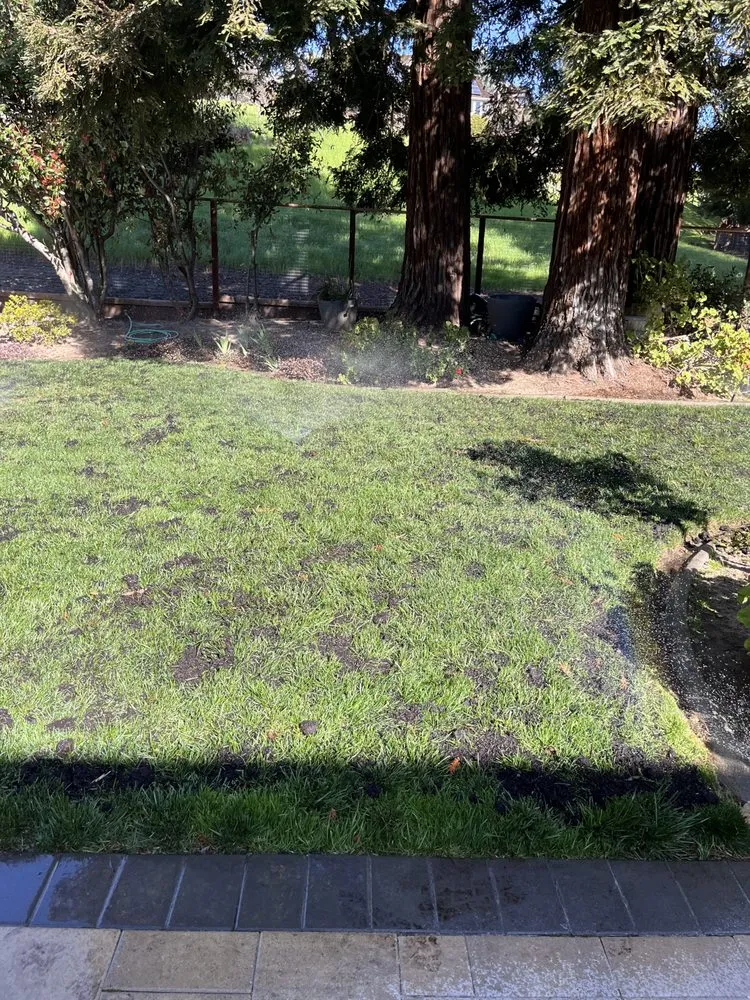 Affordable lawn mowing service for beautiful yards in Walnut Creek, CA by Green Walnut Landscaping and Maintenance