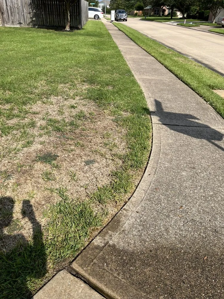 Reliable outdoor landscaping in Pearland, TX - Green Wash