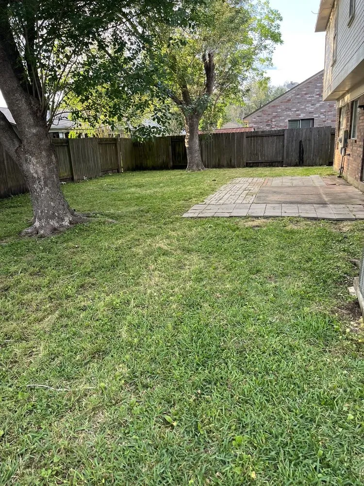 Trusted yard cleanup service for residential properties across Pearland, TX - Green Wash