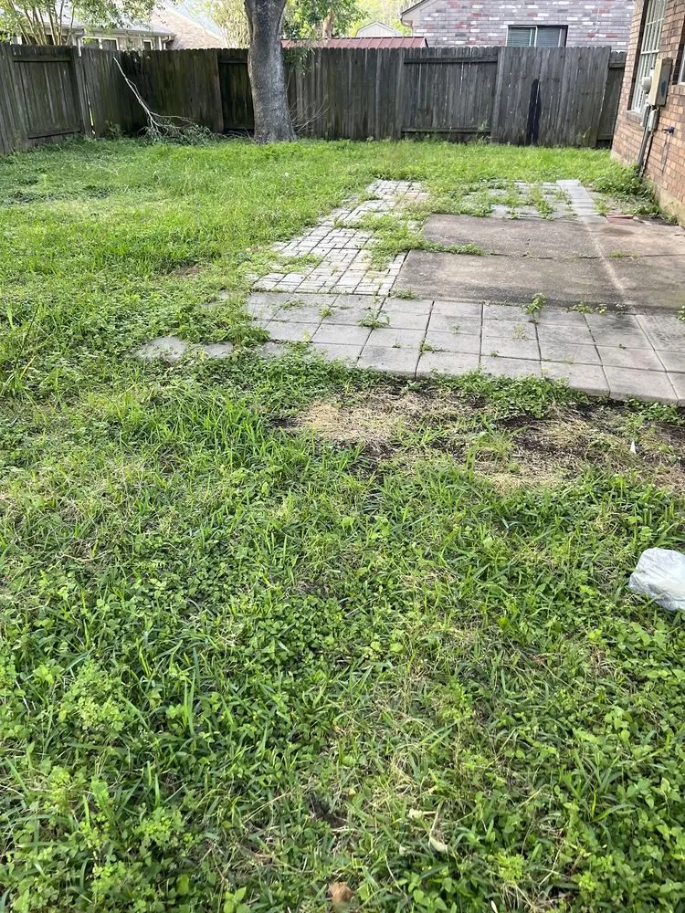 Reliable yard cleanup service for beautiful yards in Pearland, TX by Green Wash