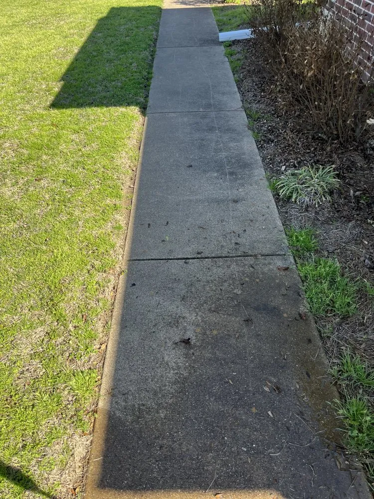 Trusted outdoor landscaping in Pearland, TX by Green Wash