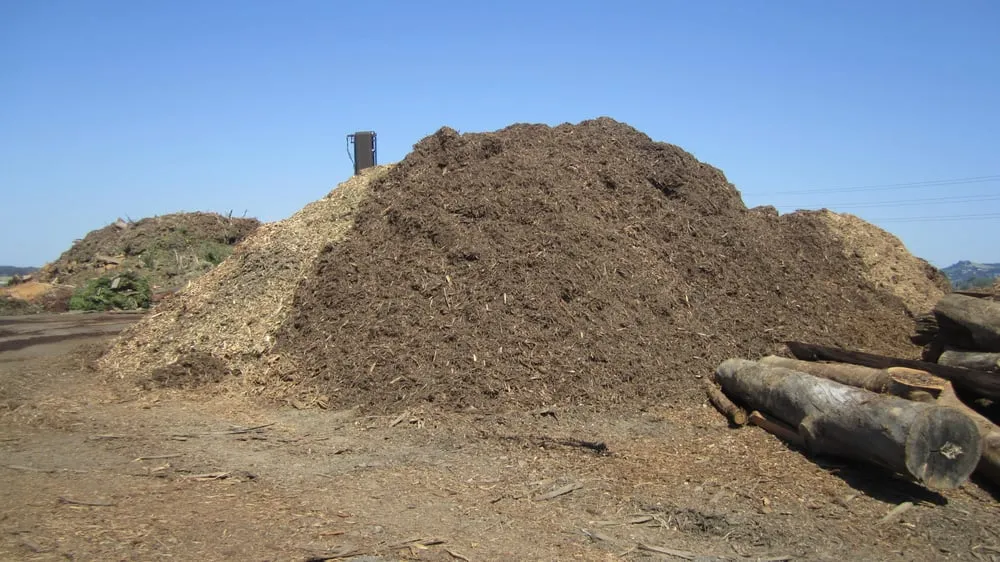 Trusted landscape design for year-round maintenance in Richmond, CA by Green Waste Recycle Yard