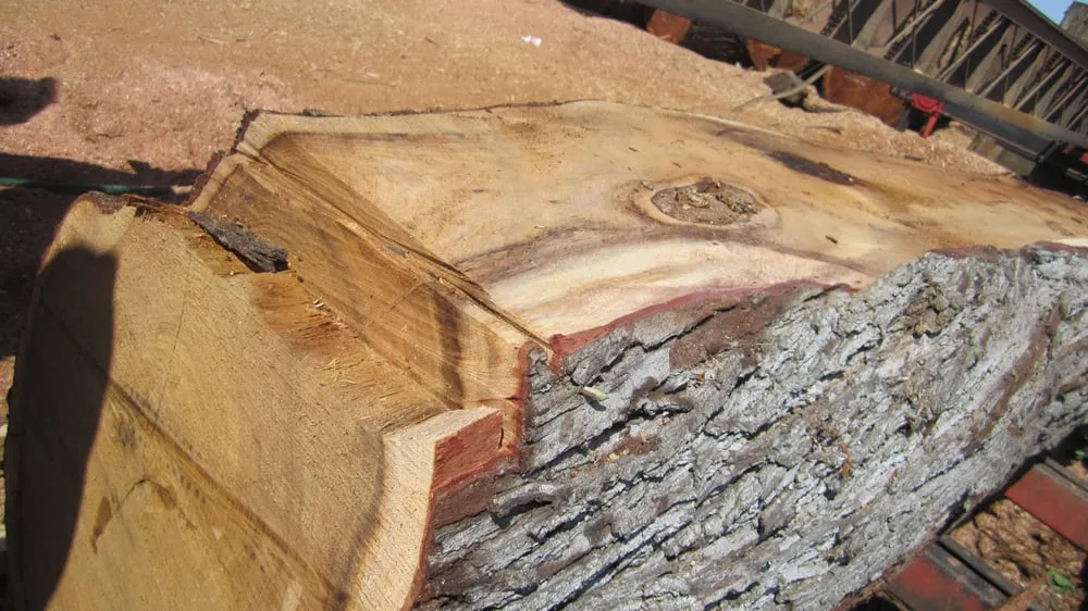 Top-rated landscape design for outdoor upgrades across Richmond, CA - Green Waste Recycle Yard