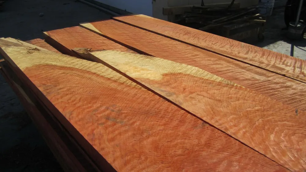 Expert outdoor landscaping for homes in Richmond, CA by Green Waste Recycle Yard