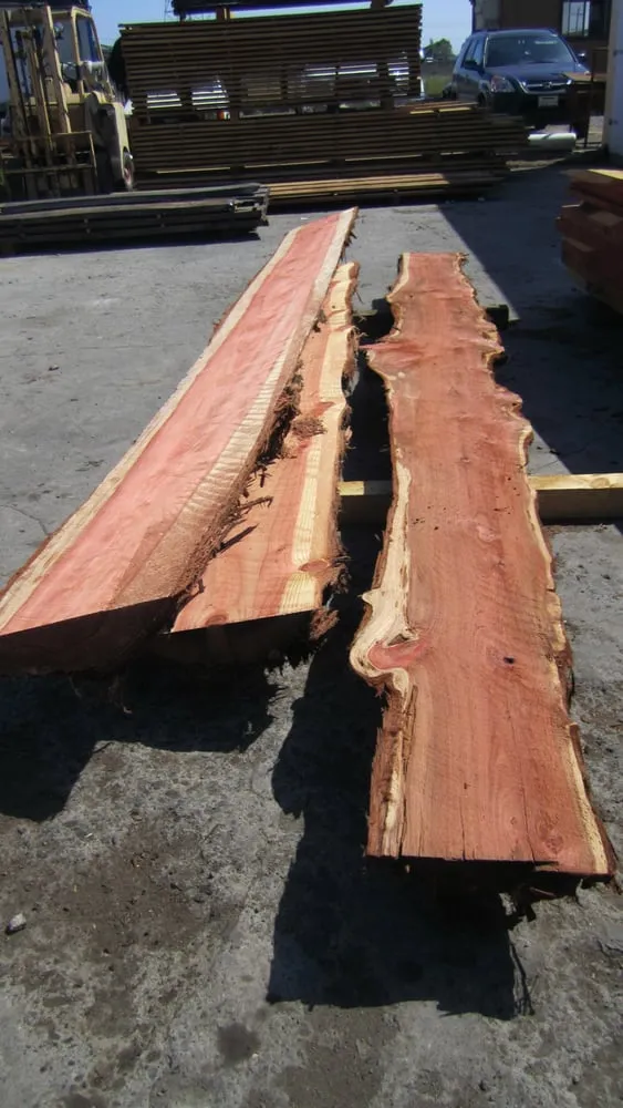 Affordable yard maintenance with custom design in Richmond, CA by Green Waste Recycle Yard