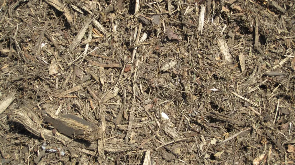 Affordable garden landscaping in Richmond, CA - Green Waste Recycle Yard