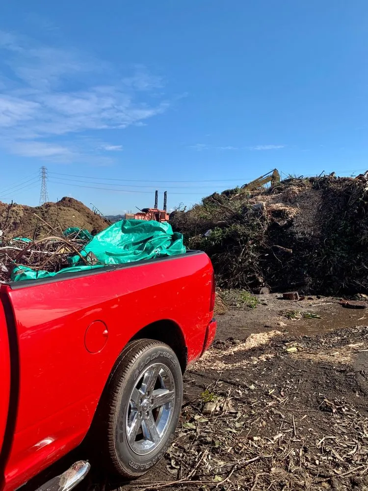 Trusted outdoor landscaping for beautiful yards across Richmond, CA - Green Waste Recycle Yard