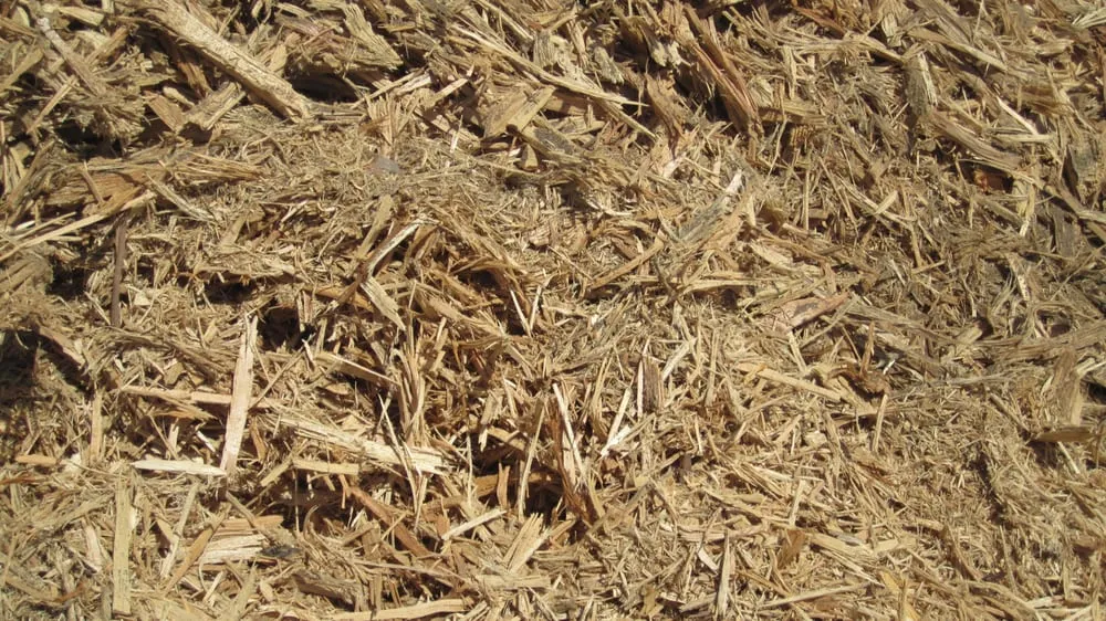 Affordable lawn mowing service in Richmond, CA by Green Waste Recycle Yard