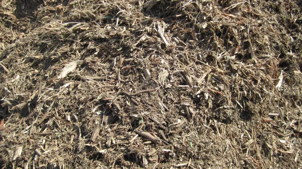 Expert landscape design in Richmond, CA by Green Waste Recycle Yard