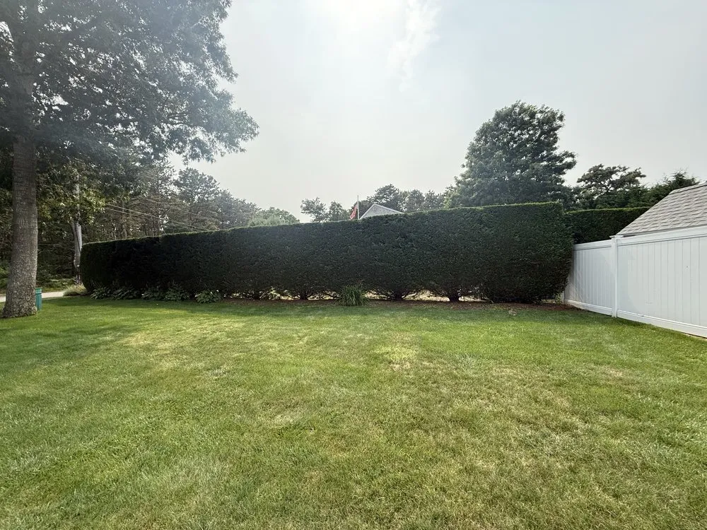 Reliable lawn care service for outdoor upgrades in Barnstable, MA by Green Water Landscaping & Irrigation