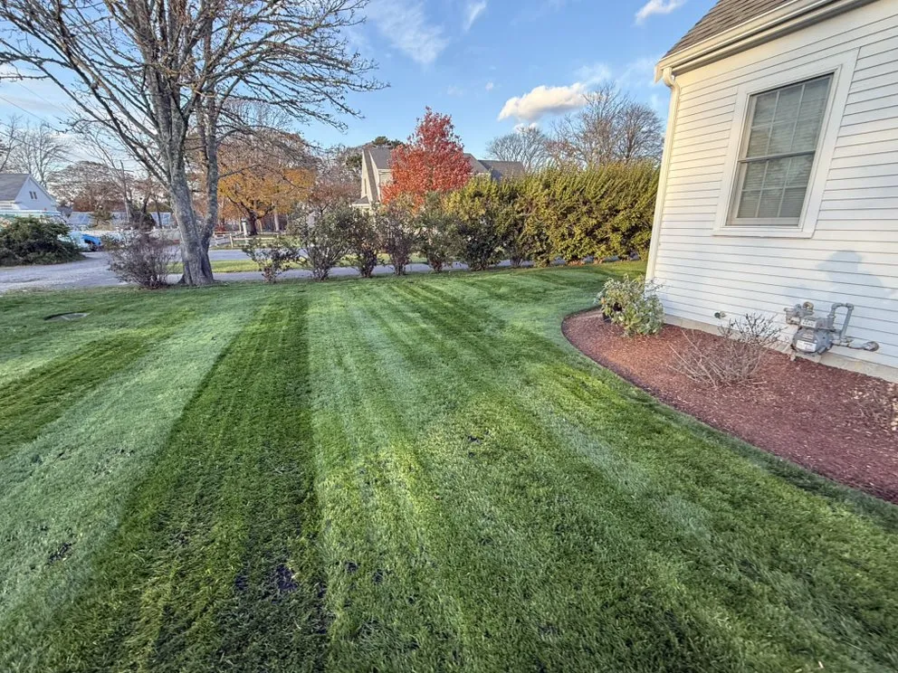 Local lawn care service for outdoor upgrades in Barnstable, MA by Green Water Landscaping & Irrigation