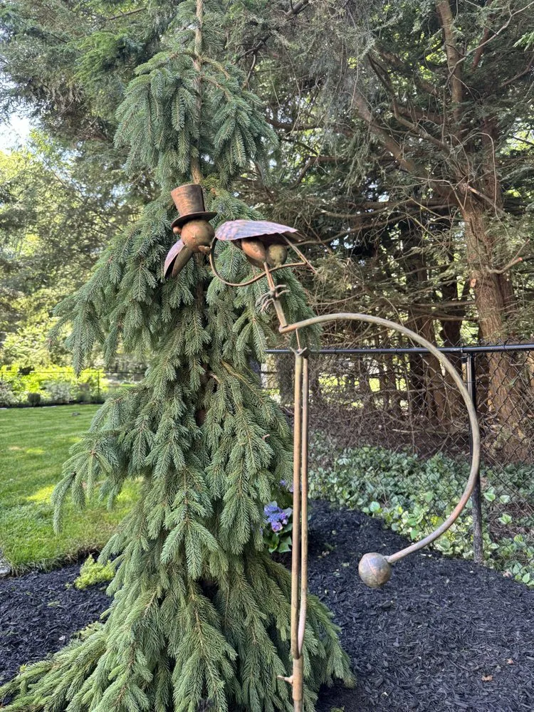 Local residential landscaping in Schenectady, NY - Green Wave Lawn And Landscape