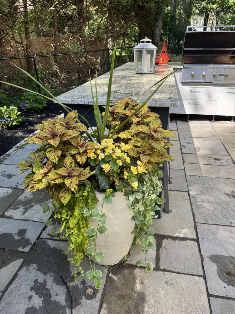 Custom lawn care service for year-round maintenance across Schenectady, NY - Green Wave Lawn And Landscape