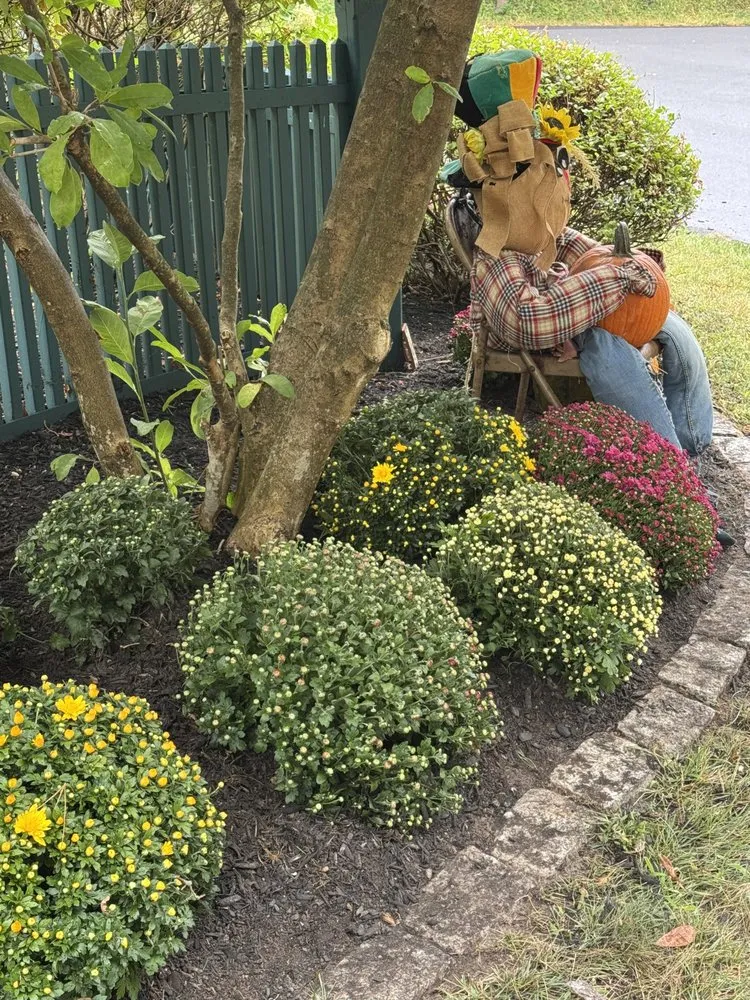 Reliable landscape design in Schenectady, NY - Green Wave Lawn And Landscape