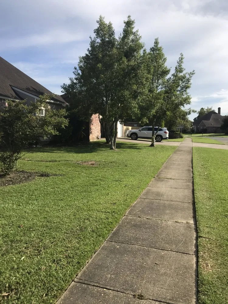 Reliable landscape design experts serving Baton Rouge, LA - Green Wave Lawn Service
