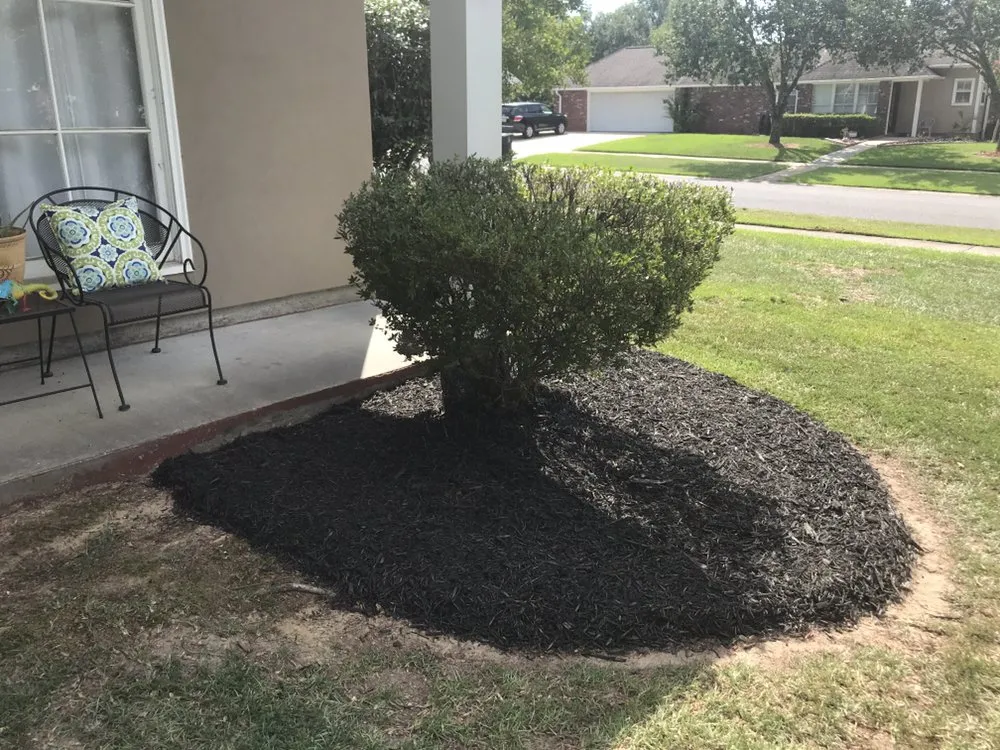 Top-rated yard cleanup service experts serving Baton Rouge, LA - Green Wave Lawn Service