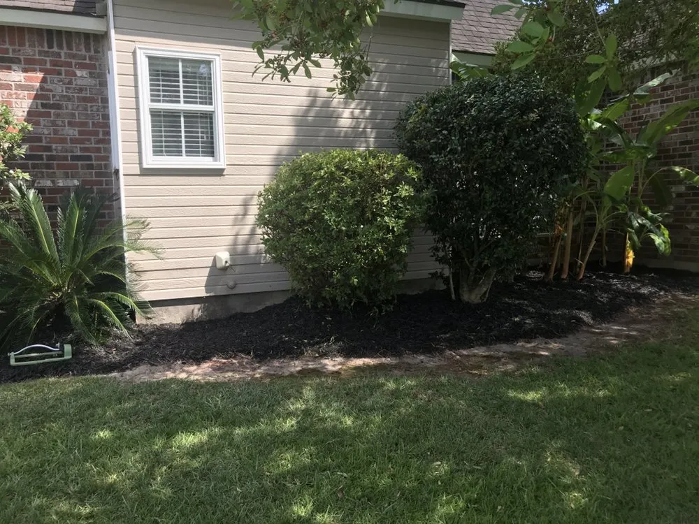 Expert yard cleanup service experts serving Baton Rouge, LA - Green Wave Lawn Service