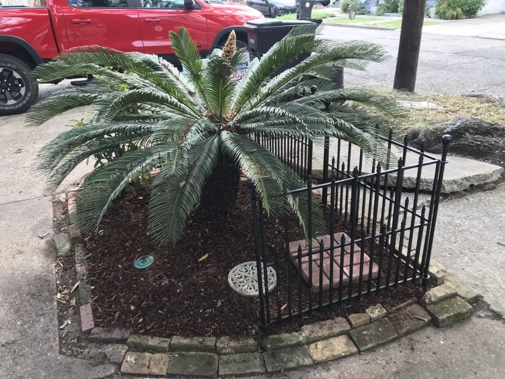 Custom landscape installation experts serving Baton Rouge, LA - Green Wave Lawn Service