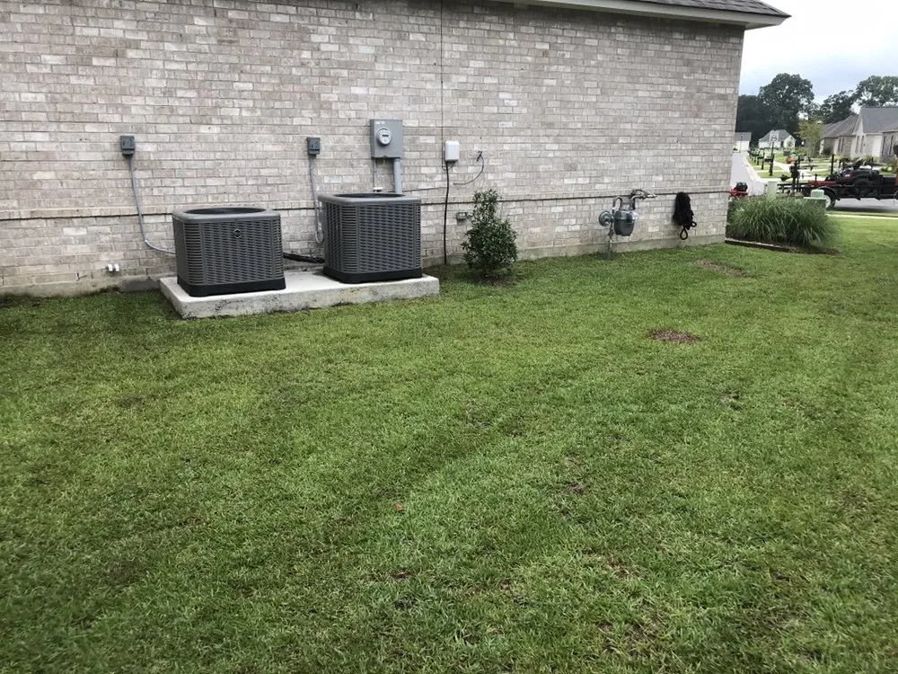 Trusted lawn care service in Baton Rouge, LA by Green Wave Lawn Service