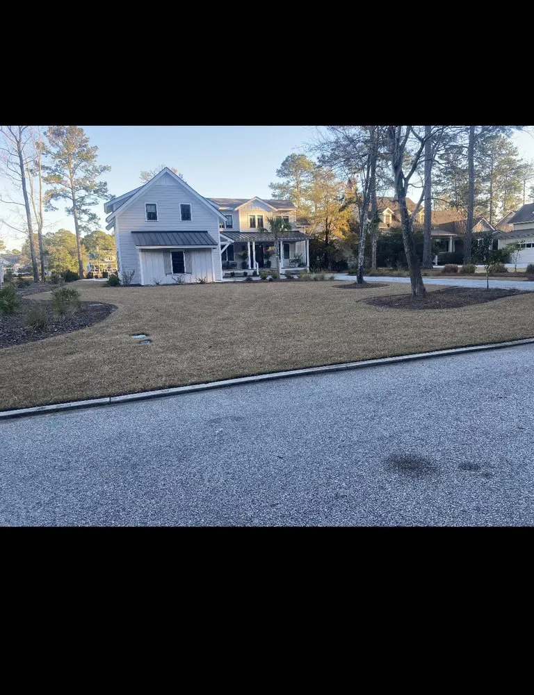 Expert yard cleanup service with custom design in Bluffton, SC by Green Waves Landscaping