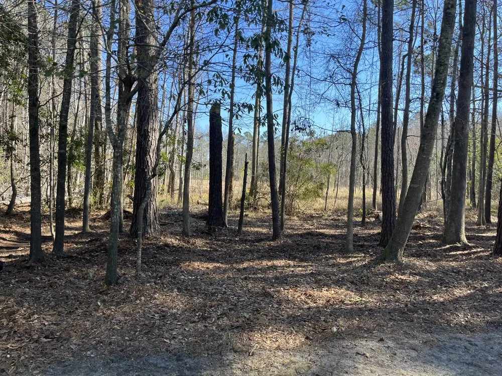 Local landscape design in Bluffton, SC by Green Waves Landscaping