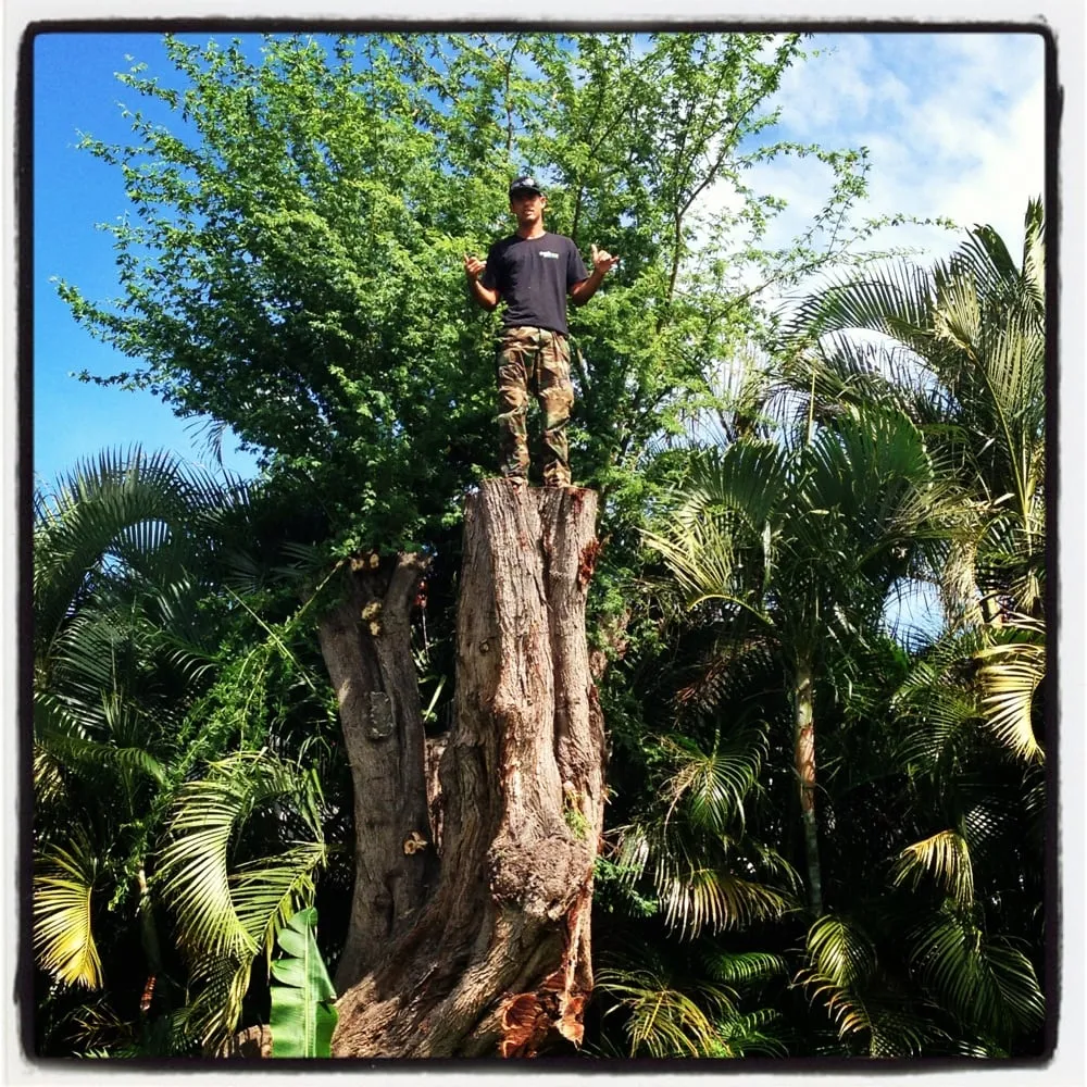 Custom garden landscaping in Haleiwa, HI - Green Waves Landscaping