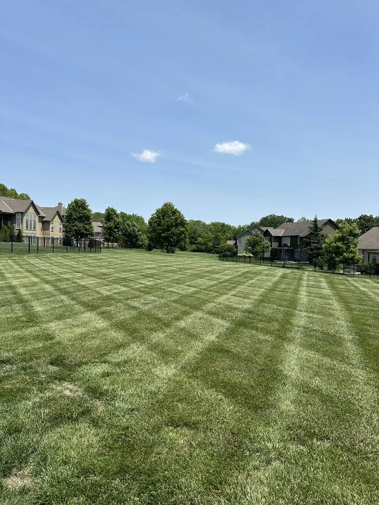 Local yard cleanup service in Leavenworth, KS - Green Waves Lawn Solutions