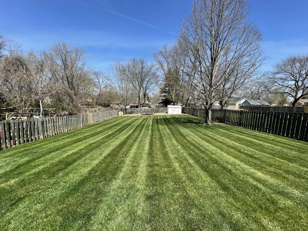 Trusted yard cleanup service near you across Leavenworth, KS - Green Waves Lawn Solutions