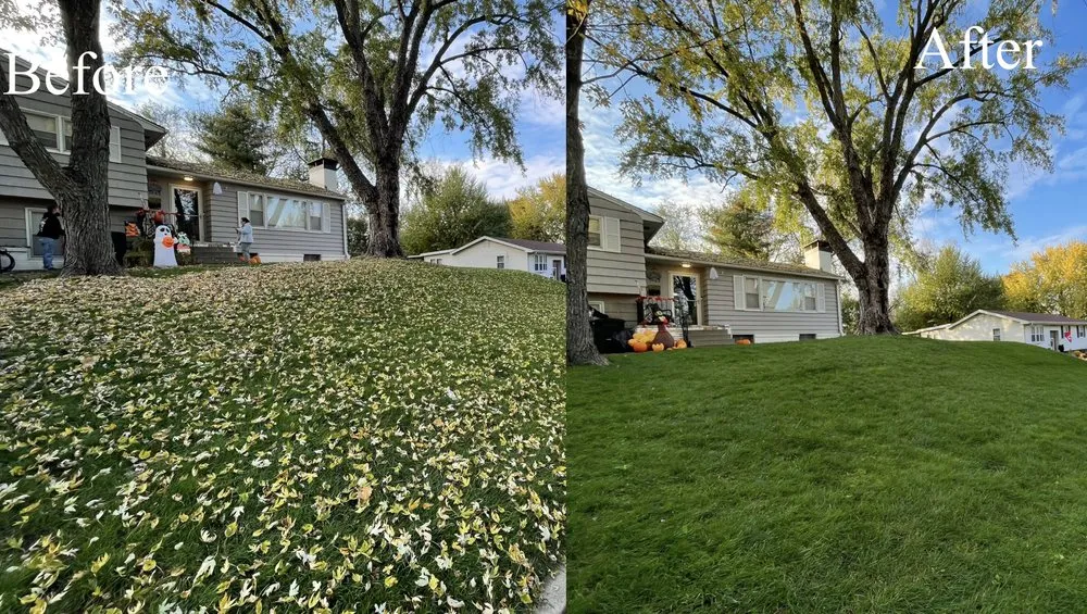 Affordable lawn mowing service experts serving Leavenworth, KS - Green Waves Lawn Solutions