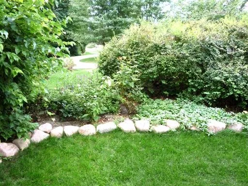 Affordable yard maintenance experts serving Iowa City, IA - Green Way