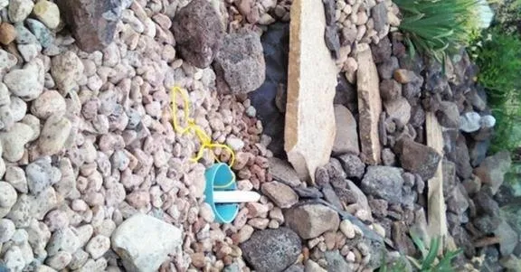 Reliable landscape design in Montrose, CO - Green-Way Pro