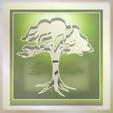 Top-rated yard maintenance for year-round maintenance across Montrose, CO - Green-Way Pro