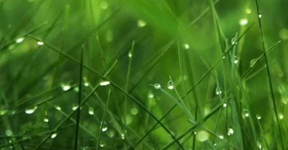 Custom landscape design for residential properties in Montrose, CO by Green-Way Pro