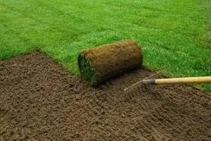 Custom yard cleanup service experts serving Montrose, CO - Green-Way Pro