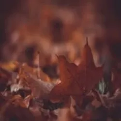 Top-rated yard maintenance for residential properties in Montrose, CO by Green-Way Pro