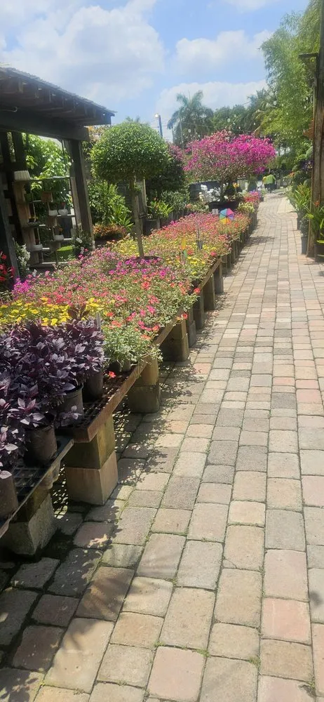 Expert lawn mowing service for beautiful yards across Miami, FL - Green Wholesale Center