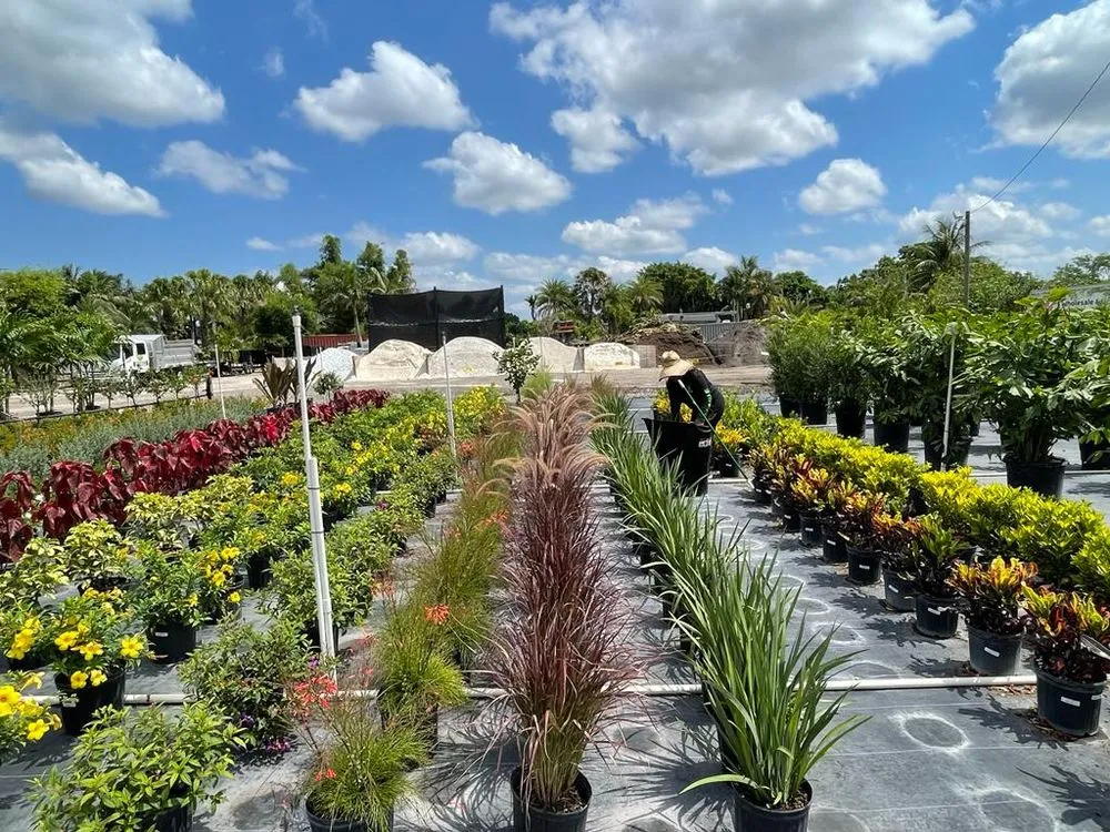 Custom garden landscaping in Miami, FL by Green Wholesale Center